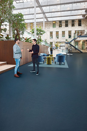 Toepassing van Marmoleum